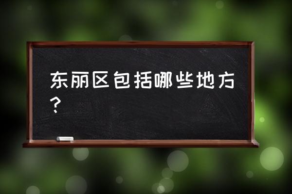 天津东丽属于哪个区 东丽区包括哪些地方？