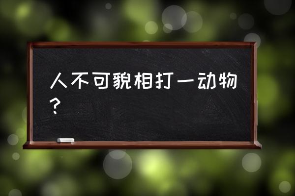 人不可貌相是什么生肖 人不可貌相打一动物？