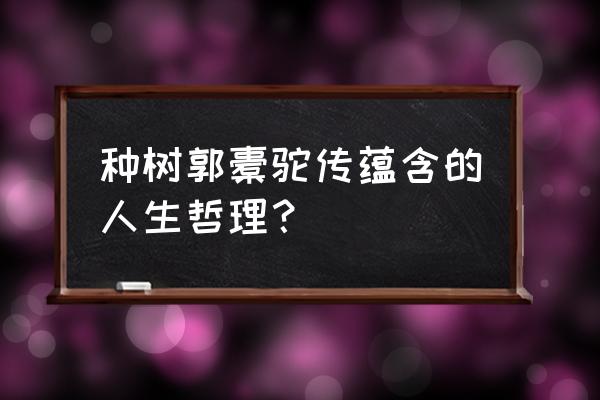 种树郭橐驼传是一篇 种树郭橐驼传蕴含的人生哲理？