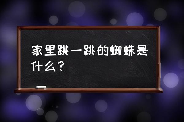 家里最常见的蜘蛛 家里跳一跳的蜘蛛是什么？