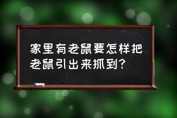 家里有老鼠怎么找出来 家里有老鼠要怎样把老鼠引出来抓到？