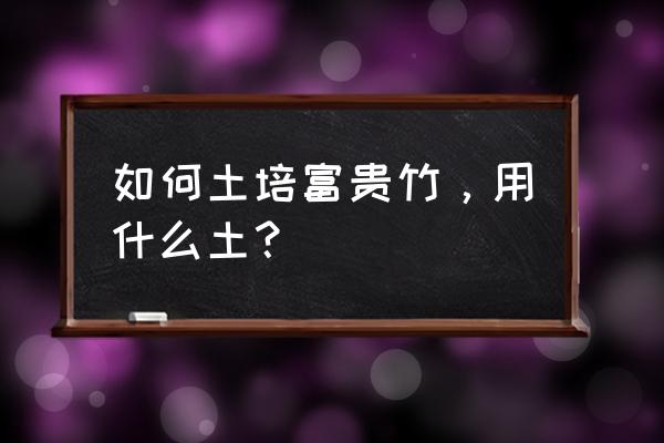 土培富贵竹最简单的方法 如何土培富贵竹，用什么土？