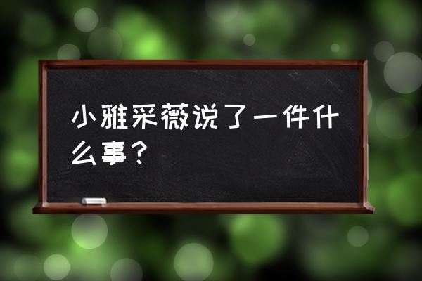 小雅采薇讲了一件什么事 小雅采薇说了一件什么事？