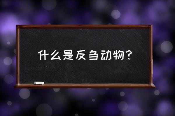 反刍动物是指什么动物 什么是反刍动物？