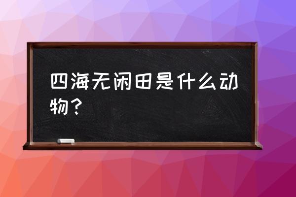 四海无闲田打一动物 四海无闲田是什么动物？