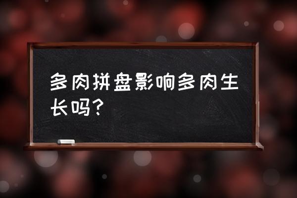 哪些多肉适合拼盘 多肉拼盘影响多肉生长吗？