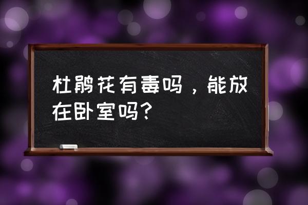 迎红杜鹃有毒吗 杜鹃花有毒吗，能放在卧室吗？