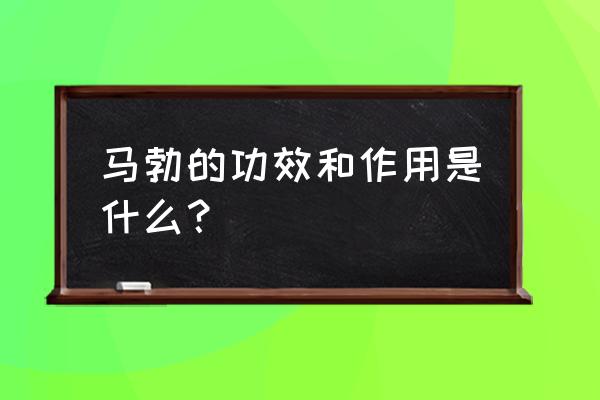 马勃的功效与作用禁忌 马勃的功效和作用是什么？