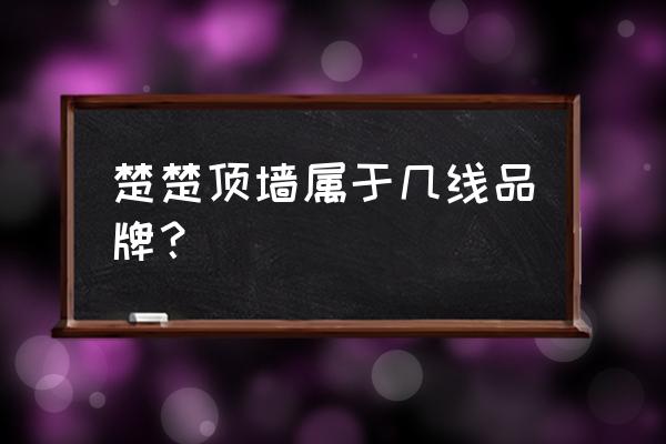 楚楚吊顶简介 楚楚顶墙属于几线品牌？