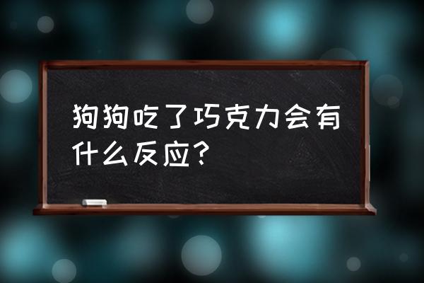 狗吃巧克力会产生什么反应 狗狗吃了巧克力会有什么反应？