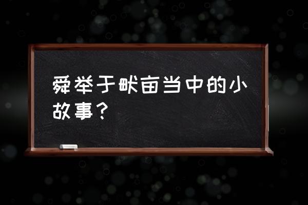 舜发于畎亩之中的典故 舜举于畎亩当中的小故事？