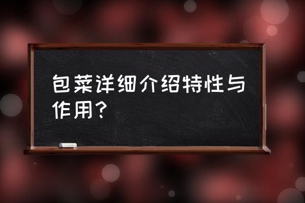 圆白菜的功效与作用 包菜详细介绍特性与作用？