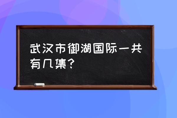 御湖国际公寓 武汉市御湖国际一共有几集？