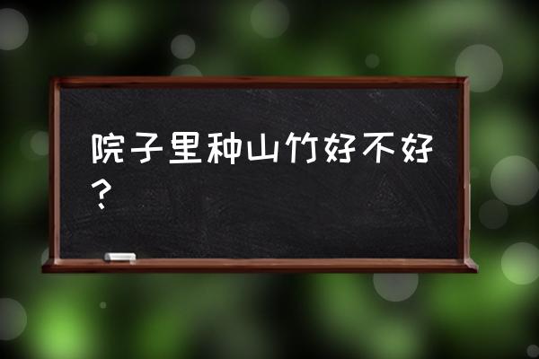 山竹根的作用与功效 院子里种山竹好不好？