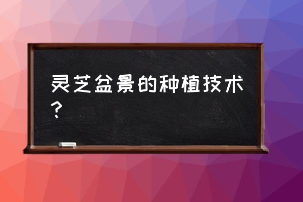 灵芝盆景栽培技术 灵芝盆景的种植技术？