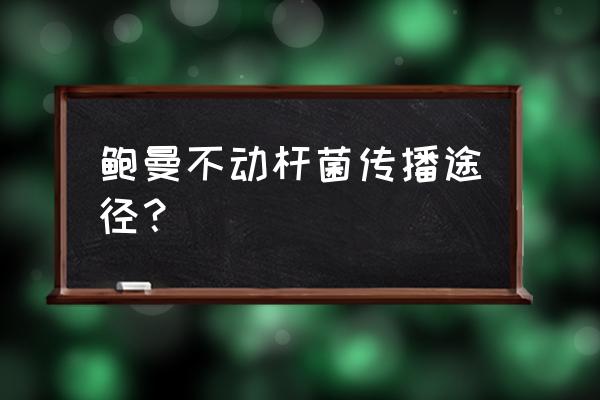 正常人接触鲍曼不动杆菌 鲍曼不动杆菌传播途径？