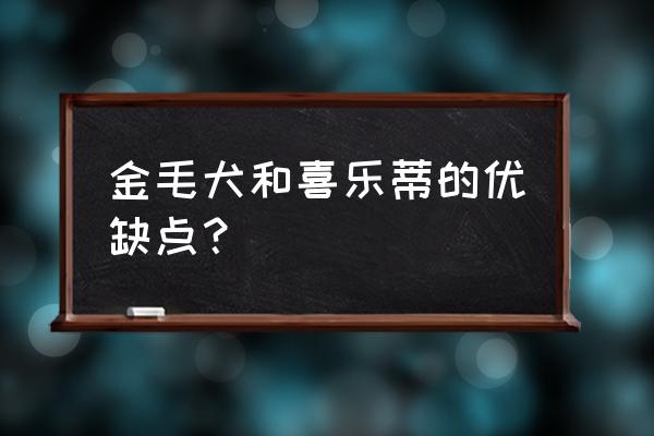 喜乐蒂犬的优缺点 金毛犬和喜乐蒂的优缺点？