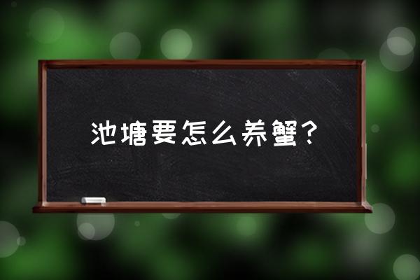 螃蟹池塘养殖 池塘要怎么养蟹？