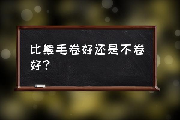 卷毛比熊犬的优缺点 比熊毛卷好还是不卷好？