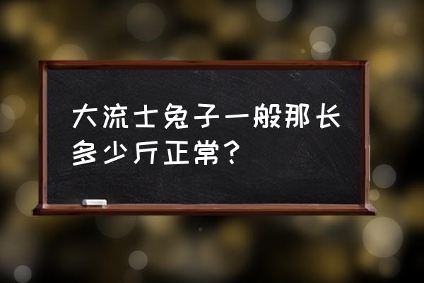 大流士兔子能长多大 大流士兔子一般那长多少斤正常？