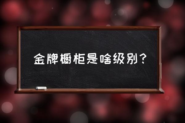 金牌橱柜介绍 金牌橱柜是啥级别？