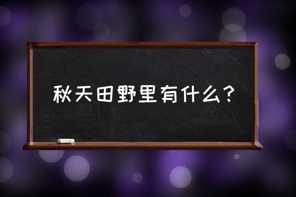 秋天的田野里有什么景象 秋天田野里有什么？