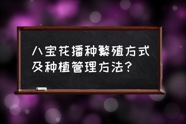 三七景天和八宝景天 八宝花播种繁殖方式及种植管理方法？