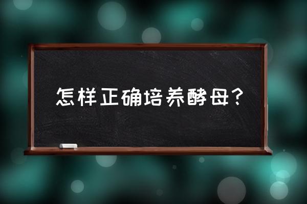 ms培养基培养酵母菌 怎样正确培养酵母？