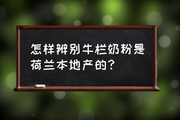 荷兰本土牛栏 怎样辨别牛栏奶粉是荷兰本地产的？