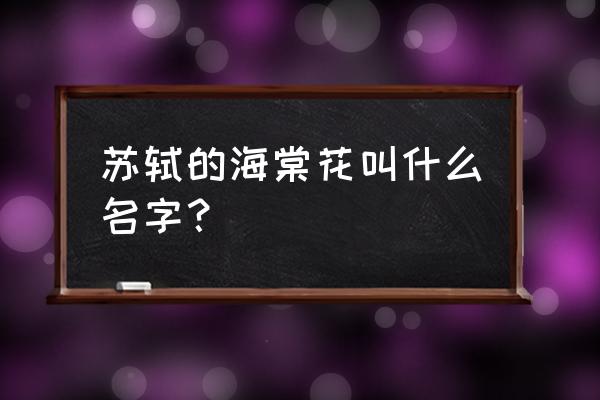 苏轼写海棠的诗 苏轼的海棠花叫什么名字？