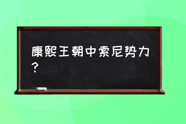 索尼清朝大臣索尼 康熙王朝中索尼势力？