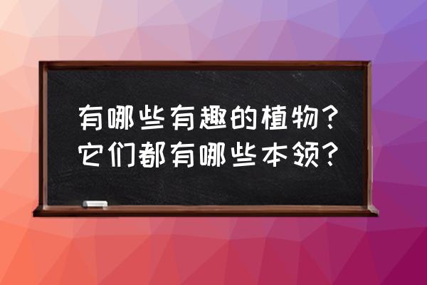 有趣的植物有哪些什么特点 有哪些有趣的植物？它们都有哪些本领？