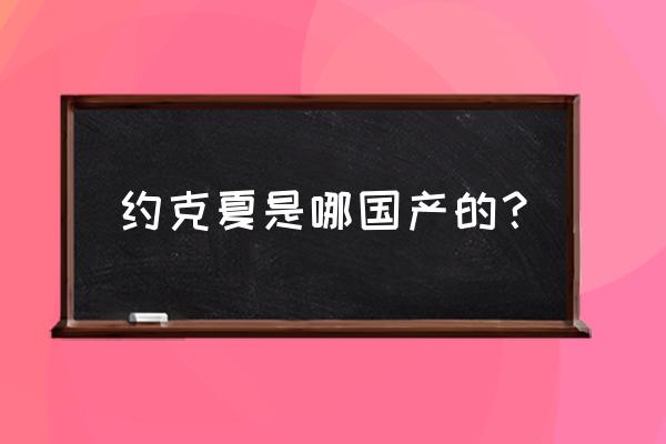 约克夏适合新手养吗 约克夏是哪国产的？