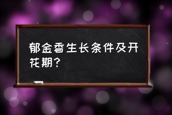 郁金香开放时间几月 郁金香生长条件及开花期？