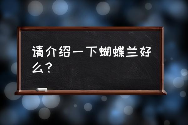 蝴蝶兰寓意 请介绍一下蝴蝶兰好么？