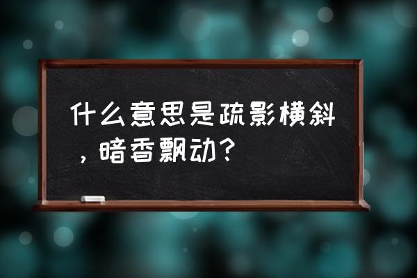 暗香浮动啥意思 什么意思是疏影横斜，暗香飘动？