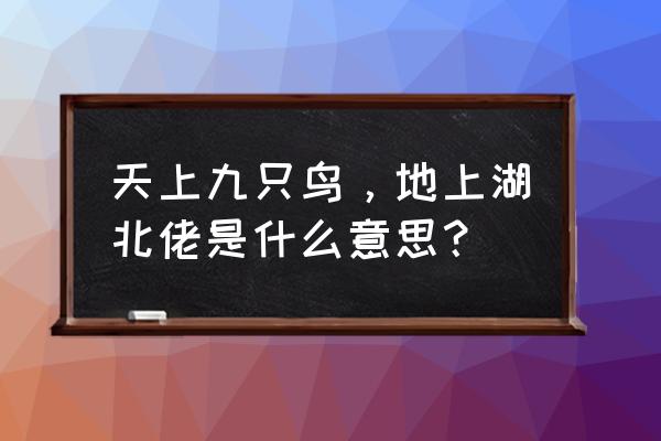 天生九头鸟地下湖北佬 天上九只鸟，地上湖北佬是什么意思？