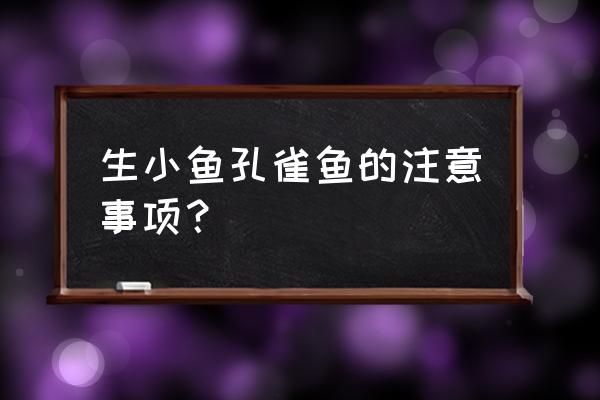 孔雀鱼生小鱼注意事项 生小鱼孔雀鱼的注意事项？