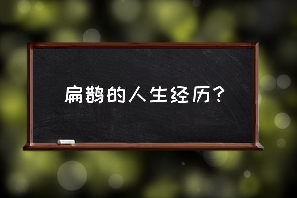 扁鹊的原名叫什么 扁鹊的人生经历？