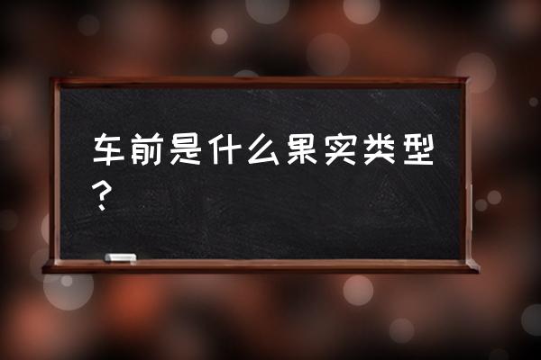 洋车前子和车前子的区别 车前是什么果实类型？