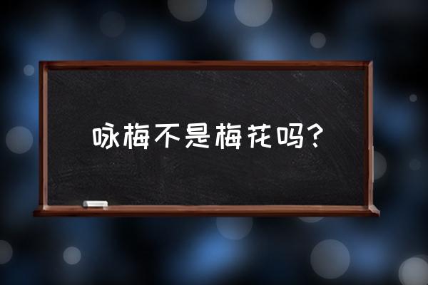 咏梅王安石为什么改成梅花 咏梅不是梅花吗？