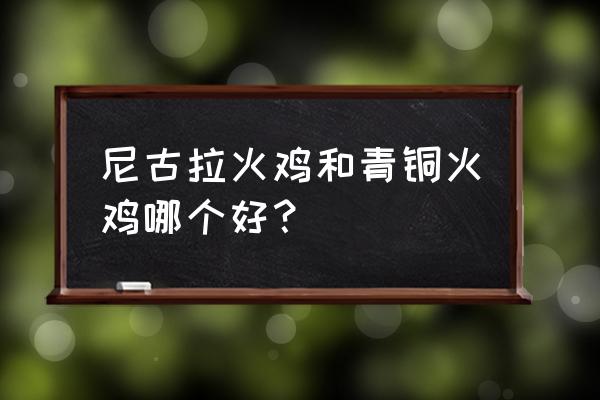 尼古拉火鸡什么颜色 尼古拉火鸡和青铜火鸡哪个好？