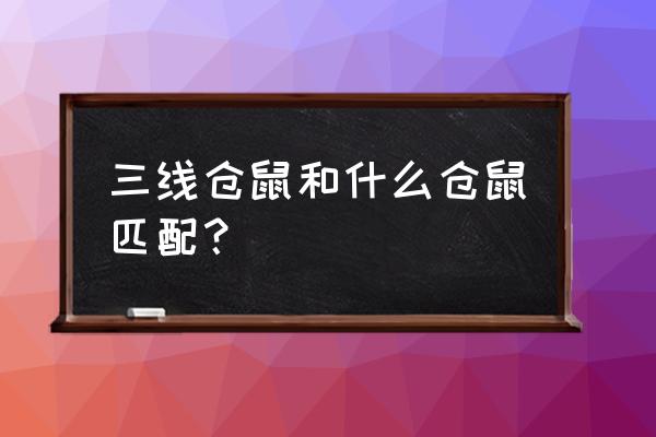 三线仓鼠和什么仓鼠最合适 三线仓鼠和什么仓鼠匹配？