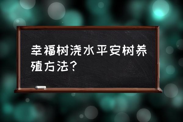 四季平安树的养殖方法 幸福树浇水平安树养殖方法？