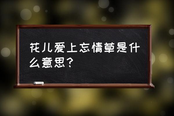 忘情草的含义是什么 花儿爱上忘情草是什么意思？