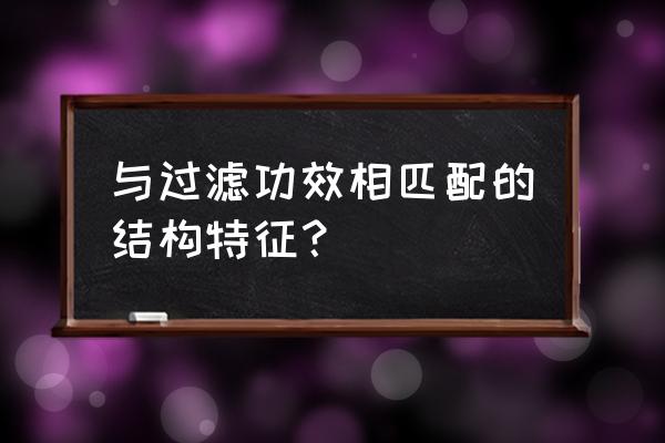 核桃壳滤料执行标准 与过滤功效相匹配的结构特征？