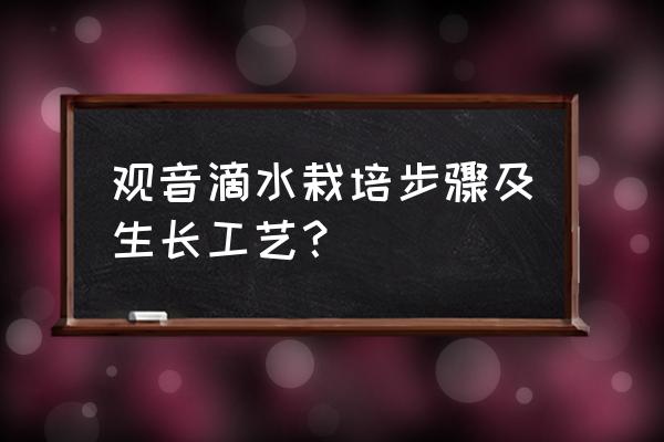 栽滴水观音花的过程 观音滴水栽培步骤及生长工艺？