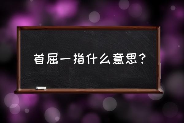 首屈一指什么意思中文 首屈一指什么意思？