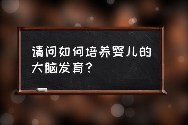 大脑发育需要什么 请问如何培养婴儿的大脑发育？