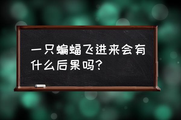 家里进蝙蝠的真正预兆 一只蝙蝠飞进来会有什么后果吗？